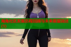 海角社区发展历程回顾与未来展望简述(1)