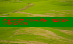 探索海角社区：大事记揭秘，情感交流与生活共享的乐园