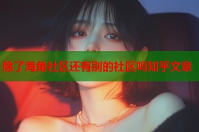 除了海角社区还有别的社区吗知乎文章