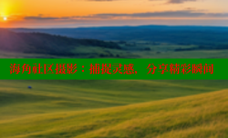 海角社区摄影：捕捉灵感，分享精彩瞬间