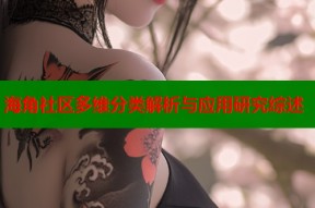 海角社区多维分类解析与应用研究综述