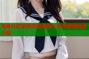 海角社区发展历程回顾与未来展望简要介绍