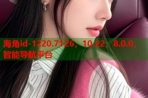 海角id-1220.7126，10.22，8.0.0，智能导航平台