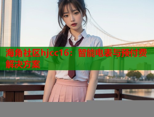 海角社区hjcc16：智能电表与预付费解决方案  第1张
