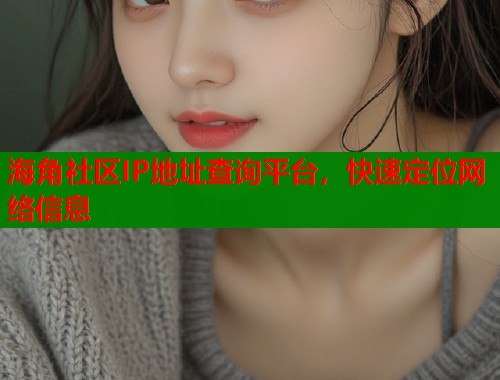 海角社区IP地址查询平台，快速定位网络信息  第1张