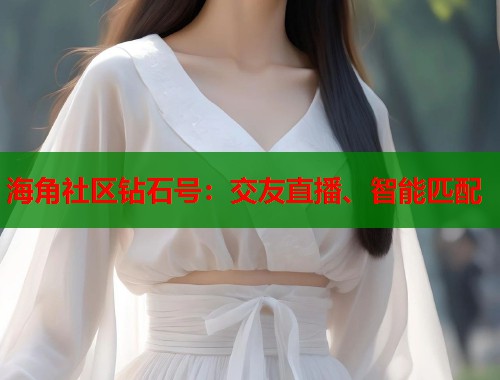 海角社区钻石号：交友直播、智能匹配  第1张
