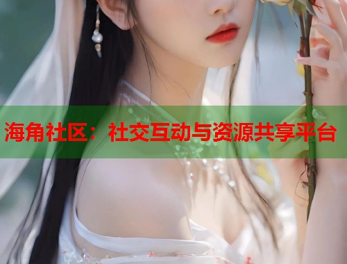 海角社区：社交互动与资源共享平台  第1张