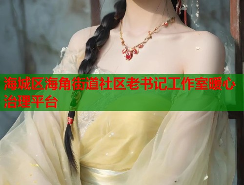 海城区海角街道社区老书记工作室暖心治理平台  第1张