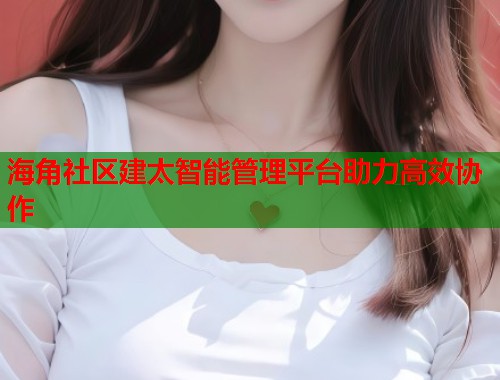 海角社区建太智能管理平台助力高效协作  第2张