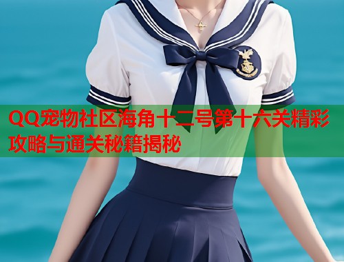 QQ宠物社区海角十二号第十六关精彩攻略与通关秘籍揭秘  第1张