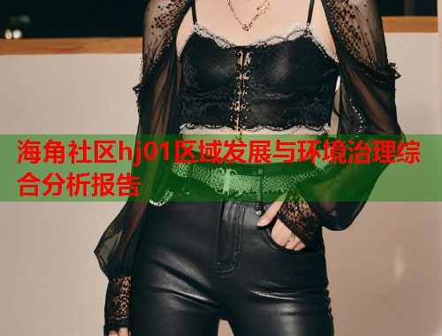海角社区hj01区域发展与环境治理综合分析报告  第1张