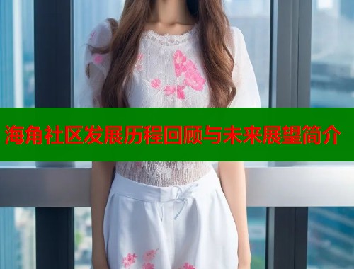 海角社区发展历程回顾与未来展望简介  第1张