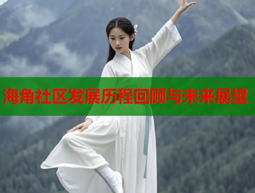 海角社区发展历程回顾与未来展望  第1张