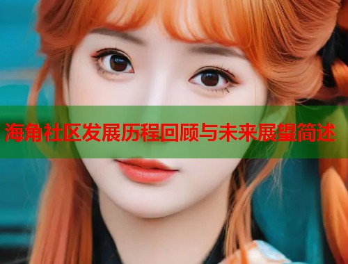 海角社区发展历程回顾与未来展望简述  第1张