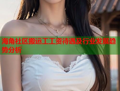 海角社区搬运工工资待遇及行业发展趋势分析  第1张
