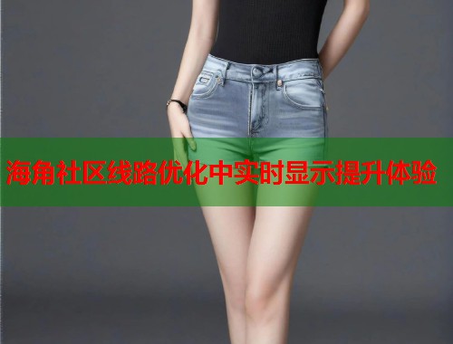 海角社区线路优化中实时显示提升体验  第1张