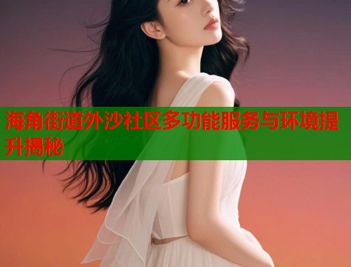 海角街道外沙社区多功能服务与环境提升揭秘  第1张